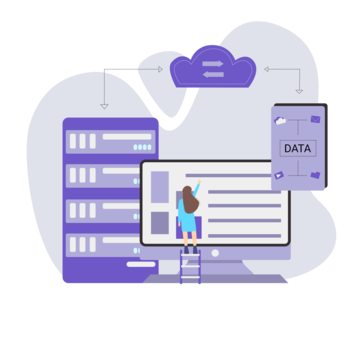 Web + Domain Hosting Package